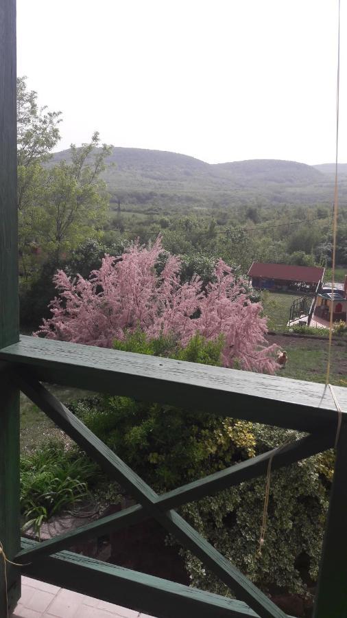 Csilla Nyaralo Villa Szentendre Luaran gambar