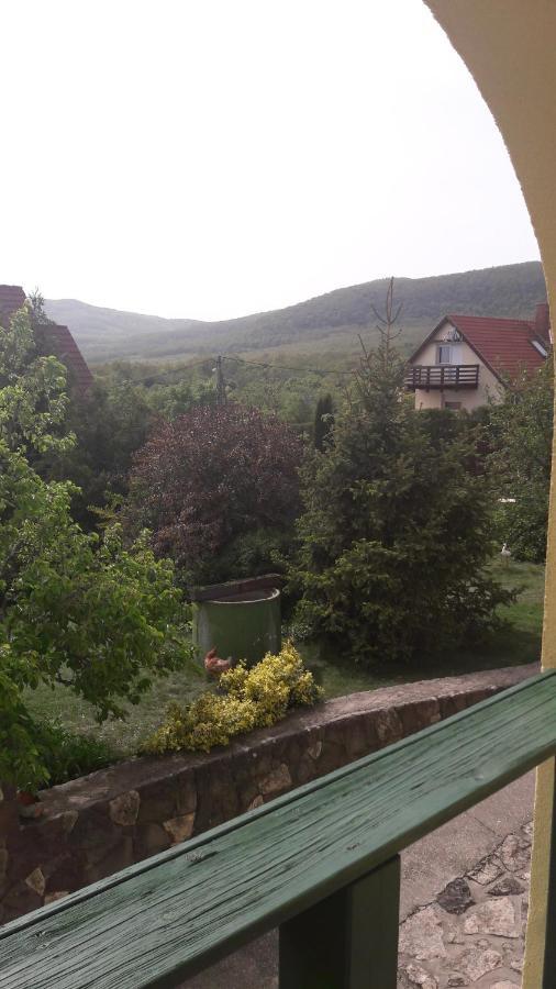 Csilla Nyaralo Villa Szentendre Luaran gambar